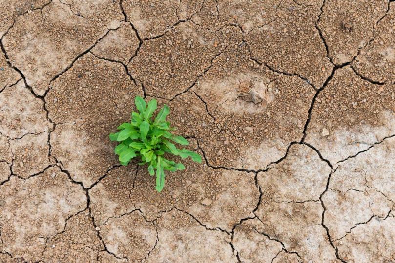 A graphic showing a downward trending chart with 'DeFi' label, interspersed with broken digital gears.