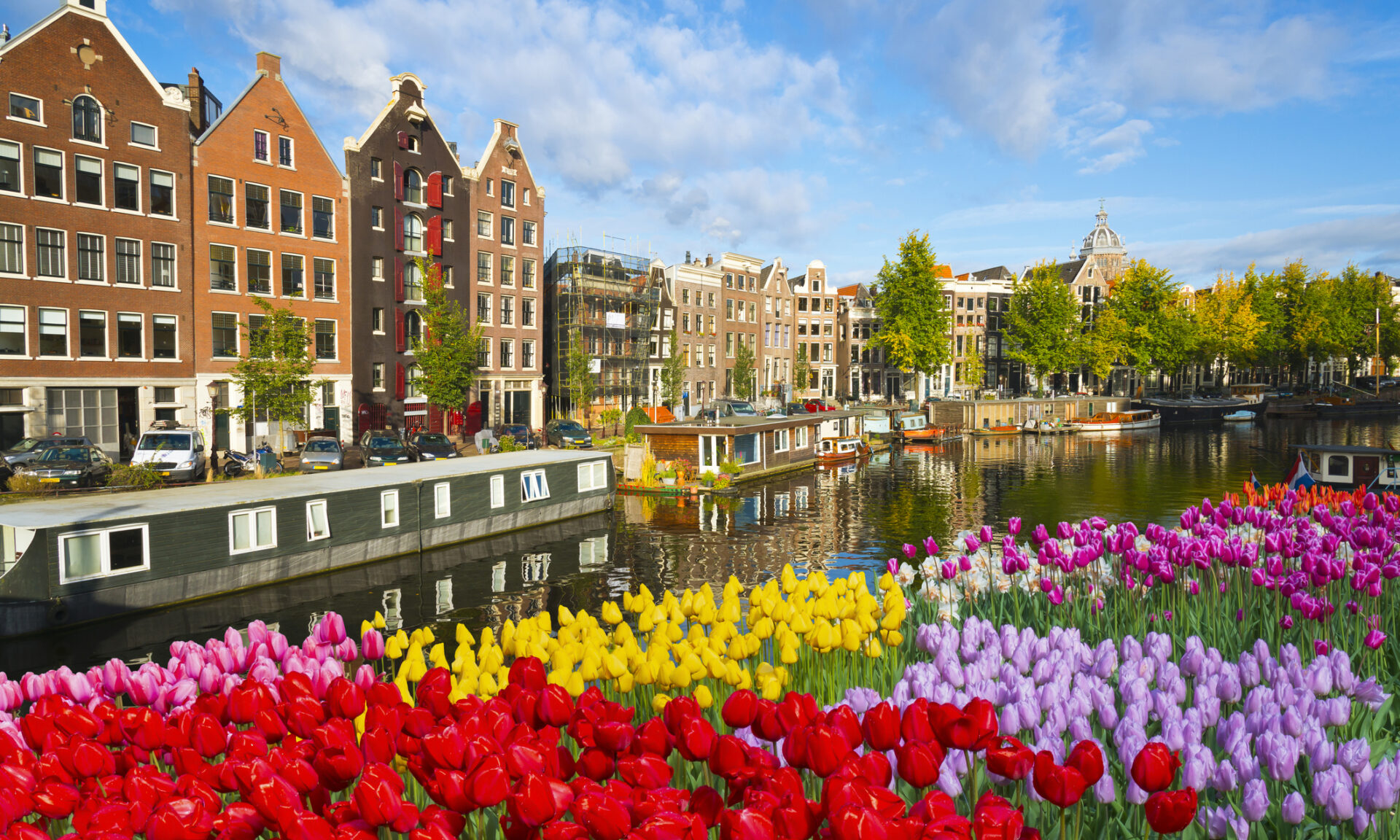 Person looking at a flight board with weather icons.