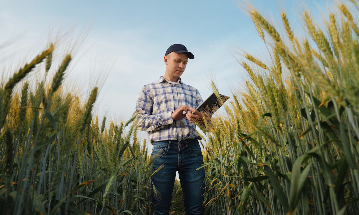 A farmer looking thoughtfully at a tablet displaying financial charts with a vast field in the background.