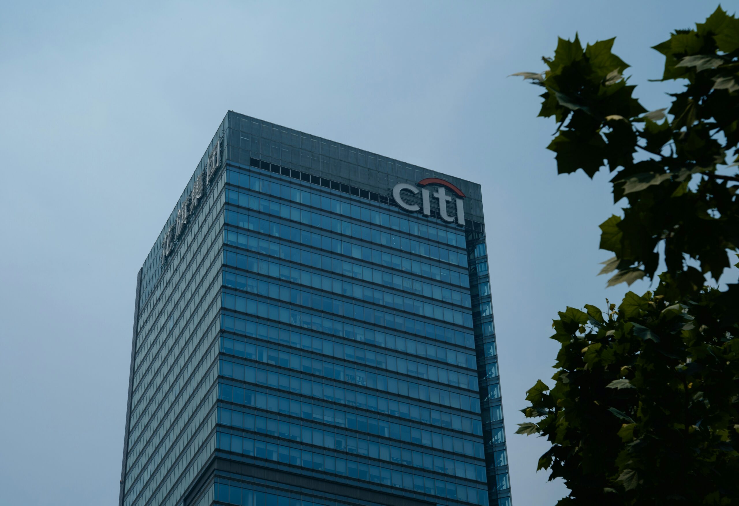 Screenshot of Citi Sky's interface, showing a conversational AI interaction.